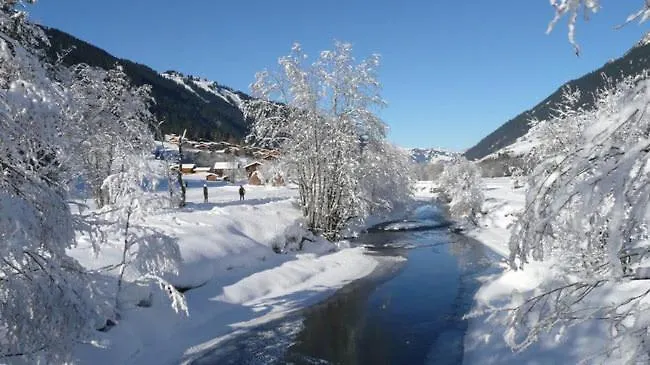 Stunning Gstaad With Mountain Views *