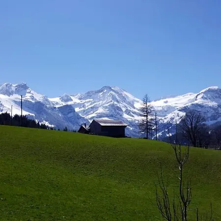 Stunning Gstaad With Mountain Views